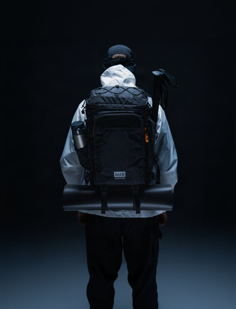 TRAVELER